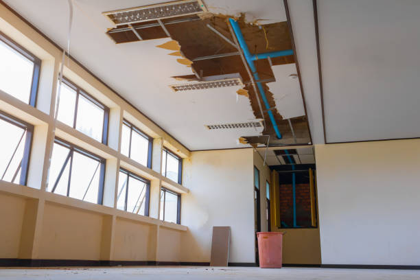 Best Carpet water damage restoration  in Herricks, NY