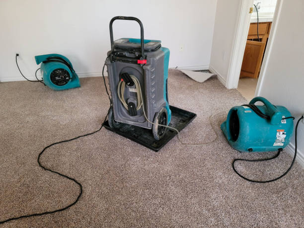 Best 24/7 water damage repair  in Herricks, NY