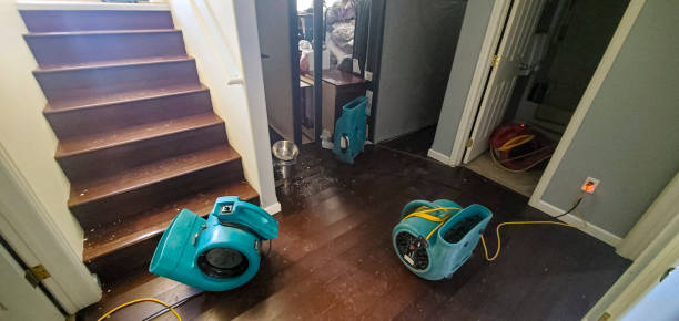 Best Water damage restoration services  in Herricks, NY