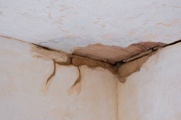 Best Mold removal after water damage  in Herricks, NY