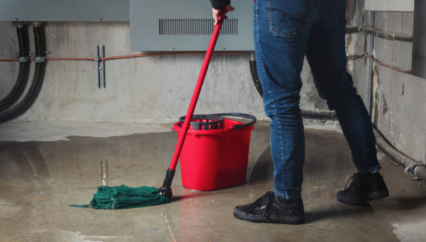  Herricks, NY Water damage restoration Pros