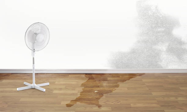 Best Water damage contractors near me  in Herricks, NY