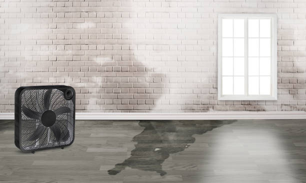Best 24-hour water damage restoration  in Herricks, NY
