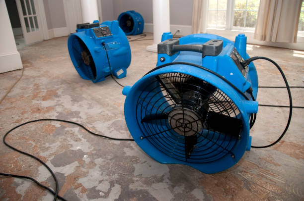 Best Ceiling water damage repair  in Herricks, NY