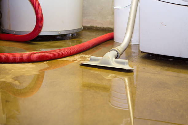 Best Carpet water damage restoration  in Herricks, NY