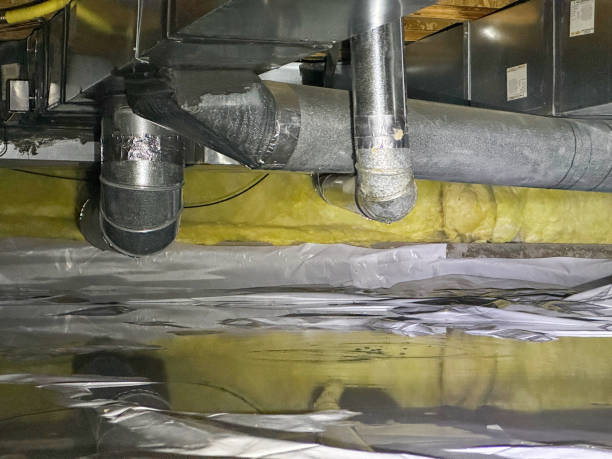 Best Water damage cleanup near me  in Herricks, NY