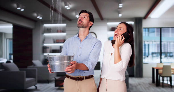Best Flood damage cleanup  in Herricks, NY