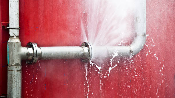 Best Basement water damage restoration  in Herricks, NY