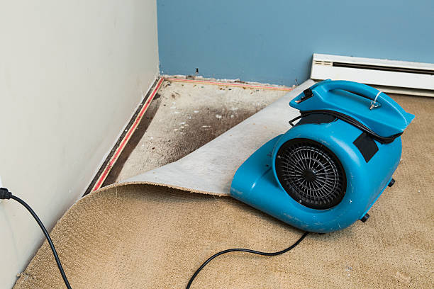 Best Basement water damage restoration  in Herricks, NY
